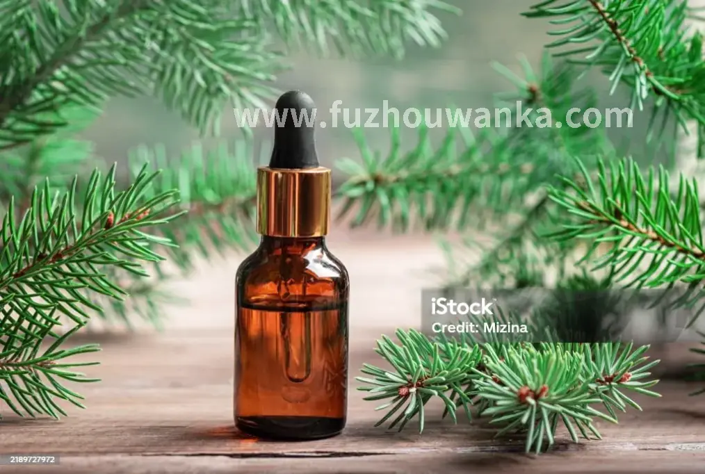 不同类型的桑拿设备展示