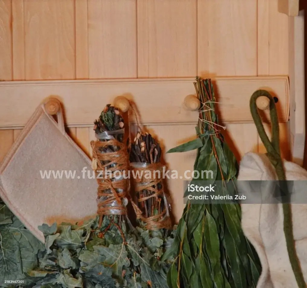 现代桑拿房内部展示